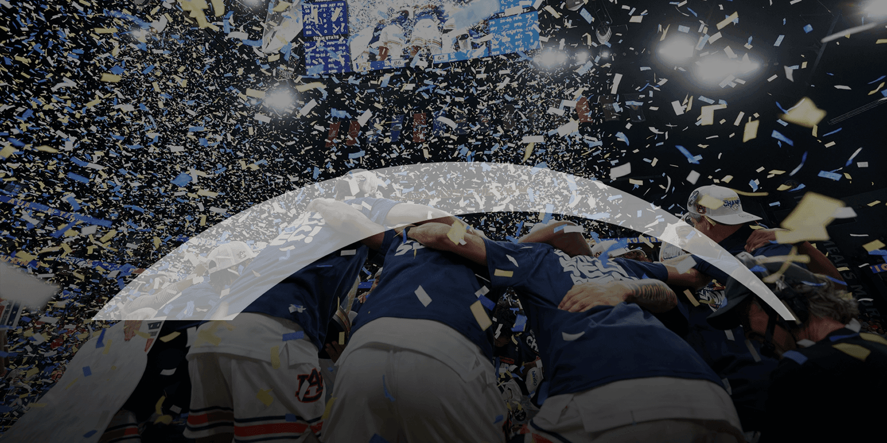 Brands banner background